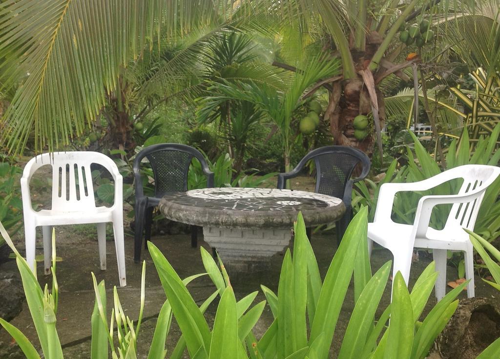 Piscina Natural On The Sea Cahuita Chambre photo