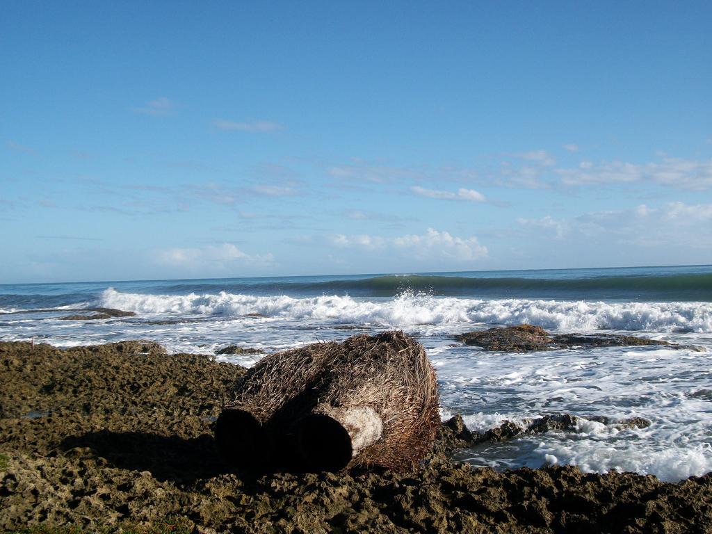 Piscina Natural On The Sea Cahuita Extérieur photo