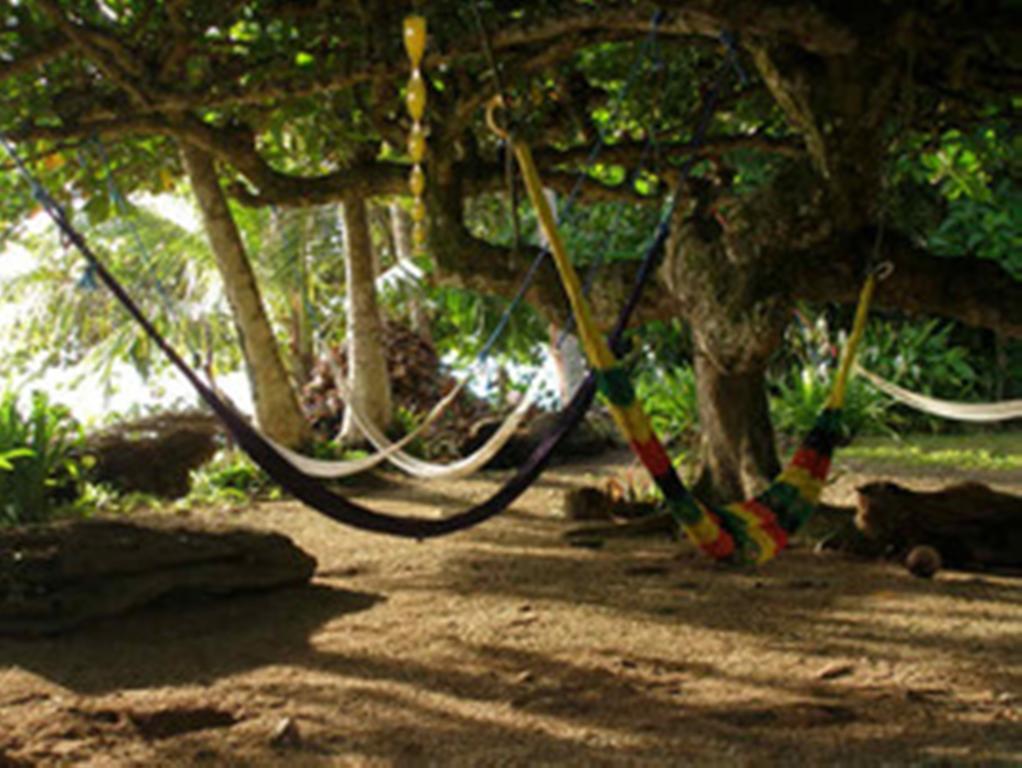 Piscina Natural On The Sea Cahuita Extérieur photo