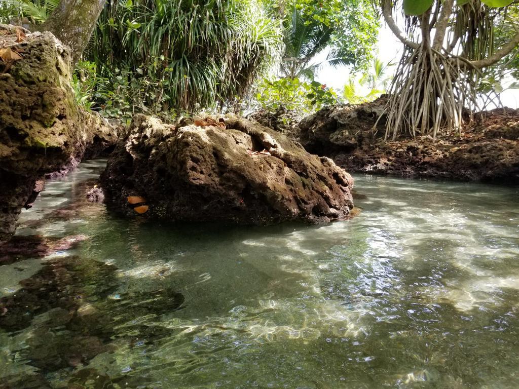 Piscina Natural On The Sea Cahuita Extérieur photo